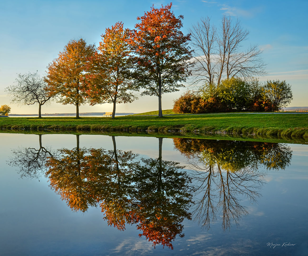 Reflection in Andrew Hadon Park